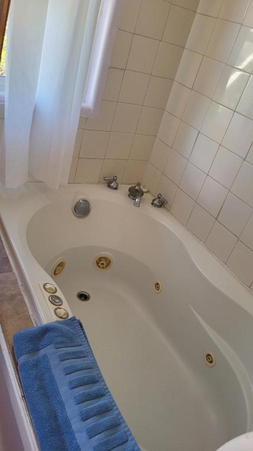 Angel Cottage With A Sauna Or The Cozy With A Jacuzzi Tub, Both Are Studios With A View Of 마운트샤스타 외부 사진